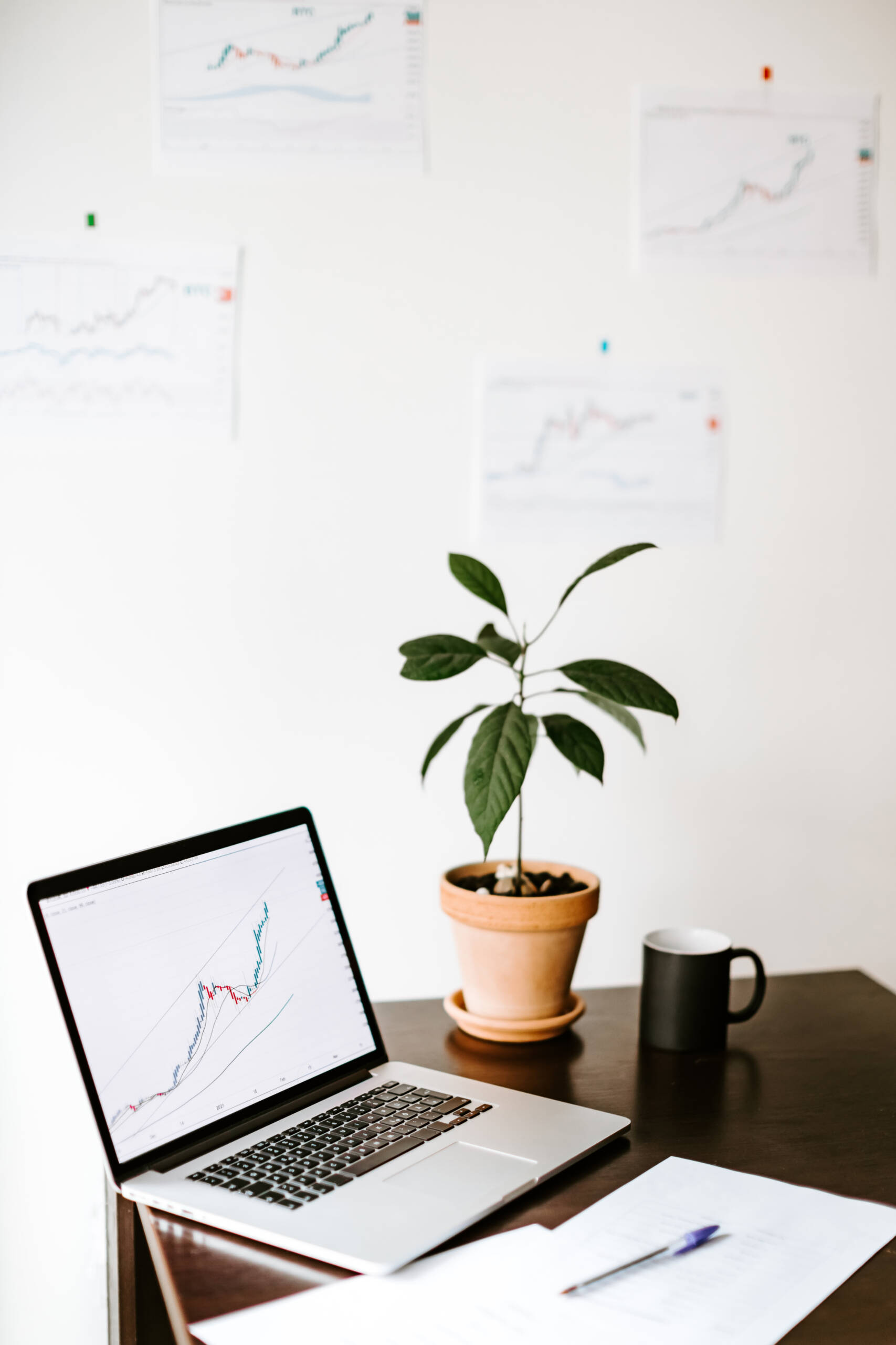 workplace of investment manager with with green plant and cup of coffee workplace of investment manager with with green plant and cup of coffee
